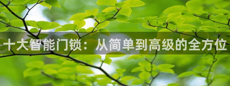 利记网官网：十大智能门锁：从简单到高级的全方位