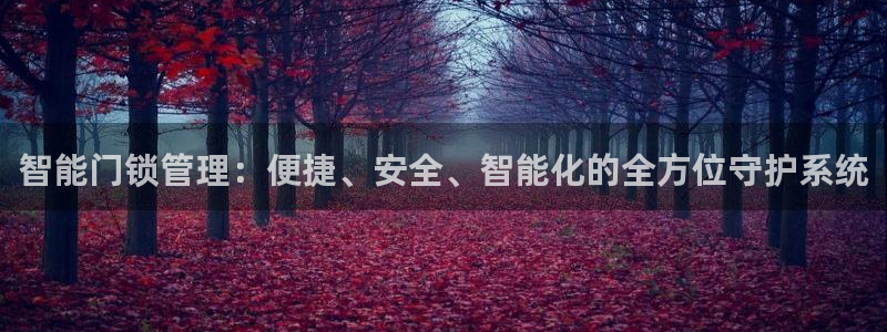 铂利记旗舰店官网：智能门锁管理：便捷、安全、智能化的全方位守