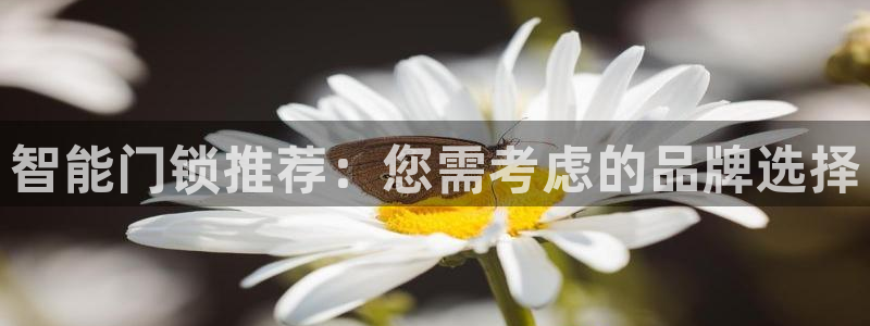 利记彩票官网：智能门锁推荐：您需考虑的品牌选择