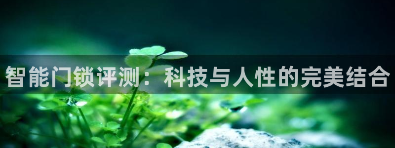 sbotop利记官网：智能门锁评测：科技与人性的完美结合