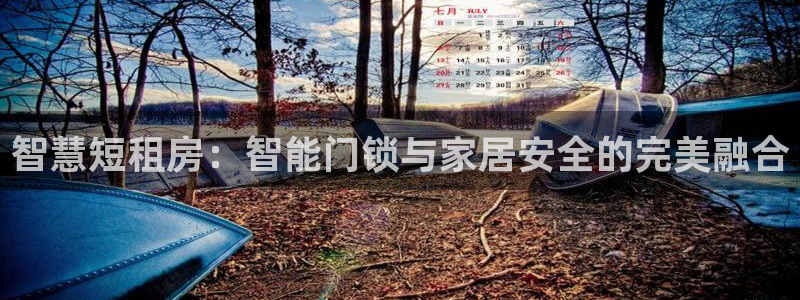 sbo利记体育官网注册：智慧短租房：智能门锁与家居安全的完美