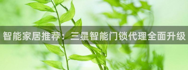 利记买球官网：智能家居推荐：三星智能门锁代理全面升级