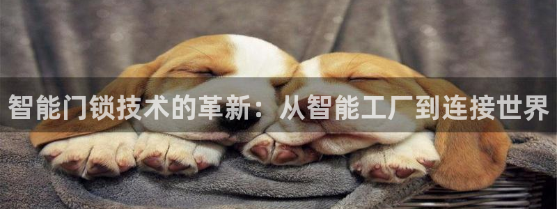 利记官网日亚运比：智能门锁技术的革新：从智能工厂到连接世界