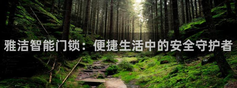 利记bet官网登录入口：雅洁智能门锁：便捷生活中的安全守护者