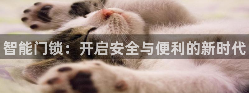 利记彩票官网：智能门锁：开启安全与便利的新时代