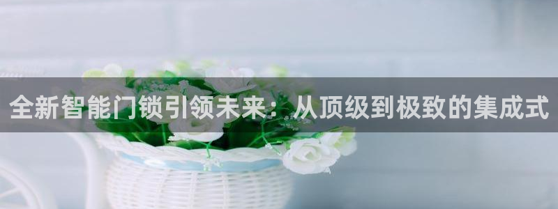 万利记菜单价格查询官网：全新智能门锁引领未来：从顶级到极致的