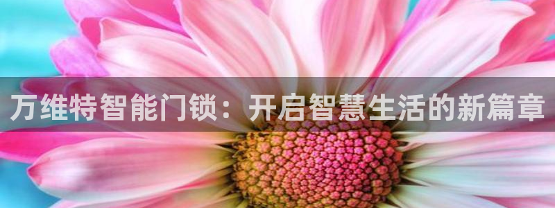 利记体育投注官网：万维特智能门锁：开启智慧生活的新篇章