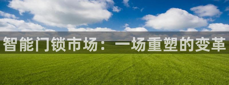 利记官网电脑版：智能门锁市场：一场重塑的变革