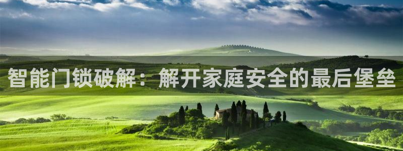利记官网是什么：智能门锁破解：解开家庭安全的最后堡垒