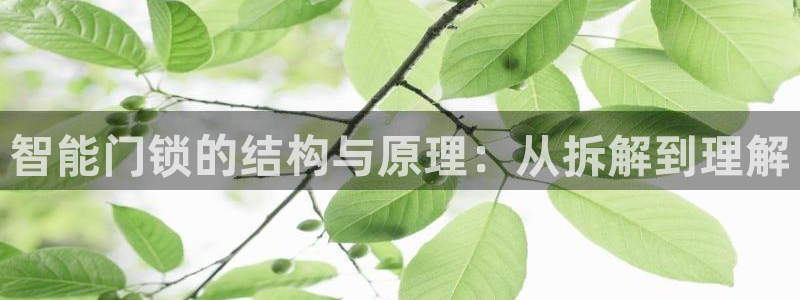 利记现场官网：智能门锁的结构与原理：从拆解到理解