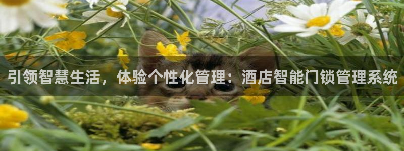 利记手机官网电子mg官方网站：引领智慧生活，体验个性化管理：