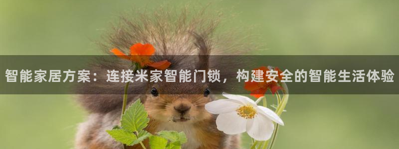利记sbobet官网电脑版：智能家居方案：连接米家智能门锁，