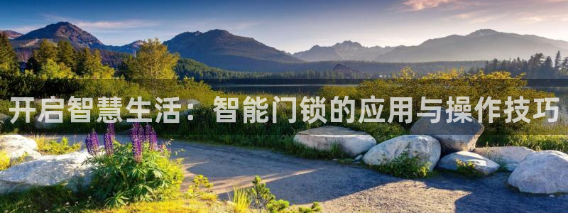 SBOBET利记官网：开启智慧生活：智能门锁的应用与操作技巧