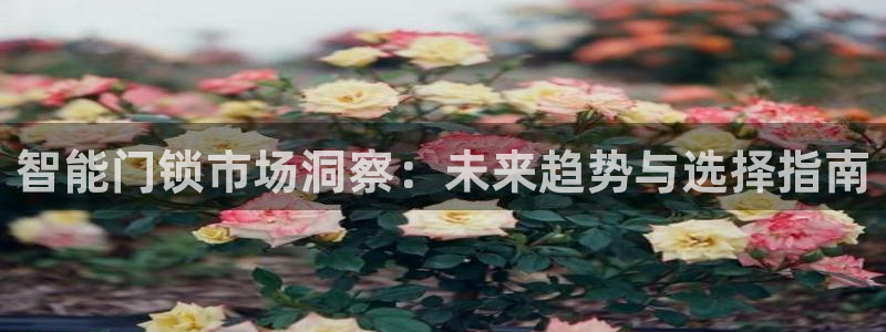 利记app官方官网登录：智能门锁市场洞察：未来趋势与选择指南