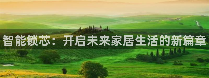 利记官网是什么：智能锁芯：开启未来家居生活的新篇章