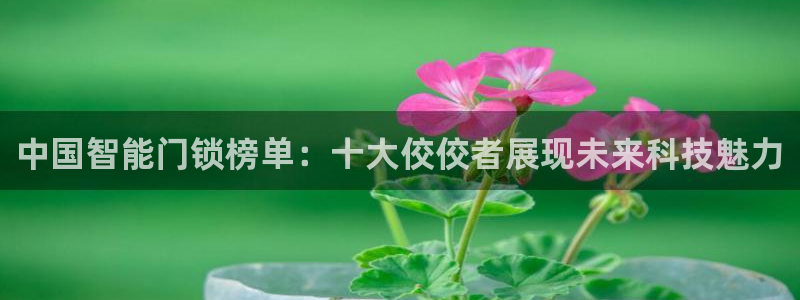 利记体育官网：中国智能门锁榜单：十大佼佼者展现未来科技魅力
