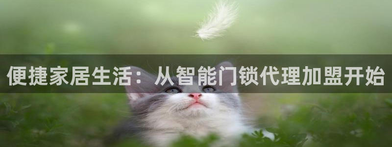 大利来记官网：便捷家居生活：从智能门锁代理加盟开始
