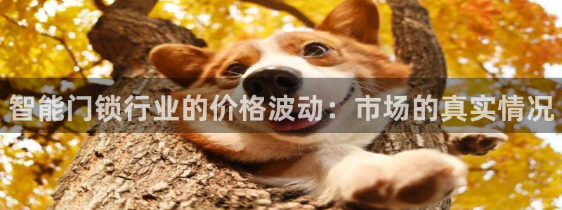 利记彩票平台官网：智能门锁行业的价格波动：市场的真实情况