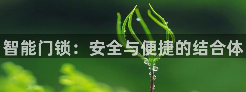 利记 官网：智能门锁：安全与便捷的结合体