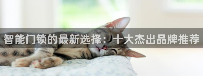 利记88官网app：智能门锁的最新选择：十大杰出品牌推荐