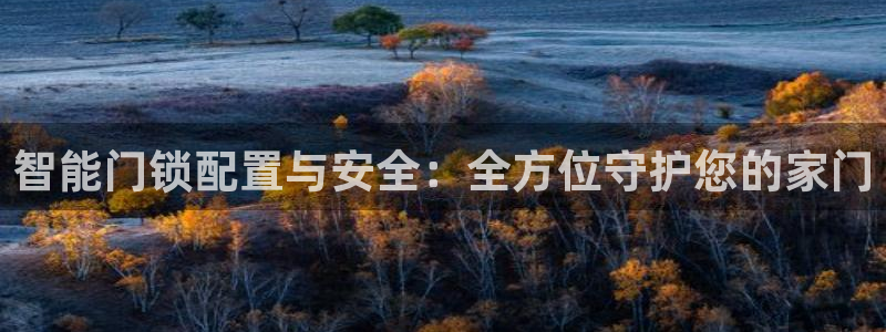 利记坊官网注册账号：智能门锁配置与安全：全方位守护您的家门