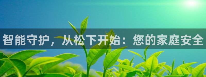 利记游戏官网：智能守护，从松下开始：您的家庭安全