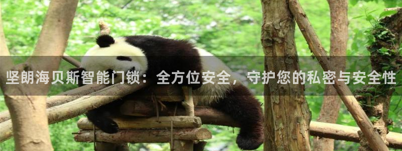 利记正式官网：坚朗海贝斯智能门锁：全方位安全，守护您的私密与