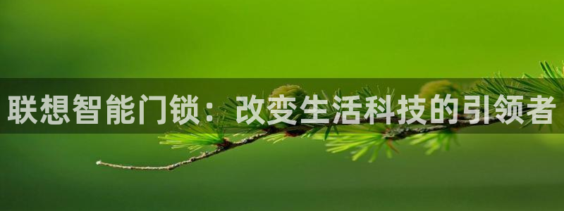 利记国际线址官网：联想智能门锁：改变生活科技的引领者