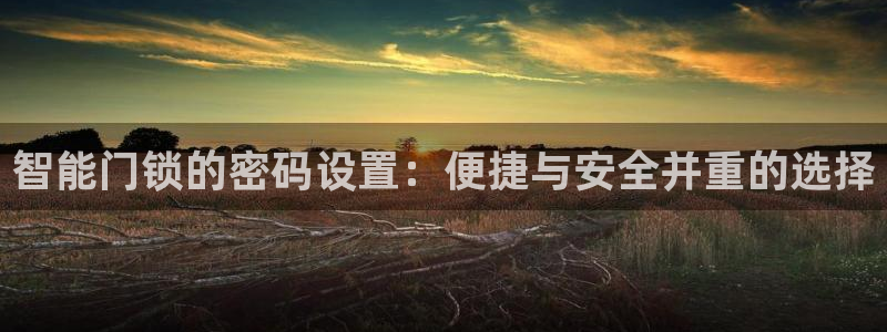 利记 官网：智能门锁的密码设置：便捷与安全并重的选择