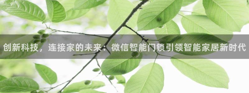 利记博彩官网：创新科技，连接家的未来：微信智能门锁引领智能家