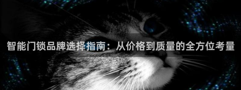 利记坊官网注册：智能门锁品牌选择指南：从价格到质量的全方位考