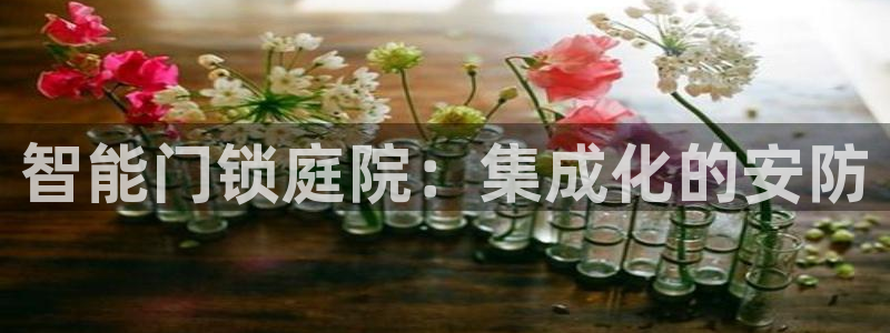 利记官网首页：智能门锁庭院：集成化的安防