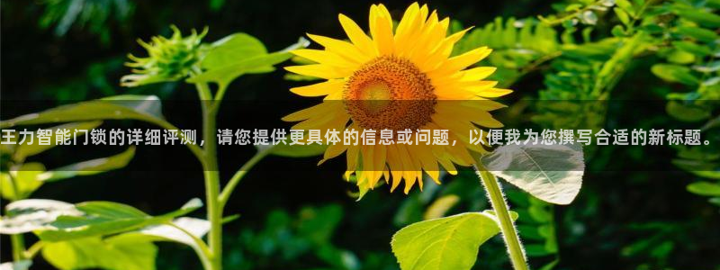 利记手机官网bb电子平台官方：王力智能门锁的详细评测，请您提