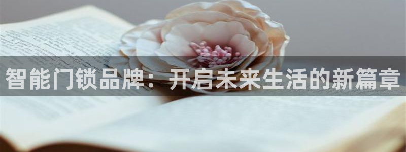 利记国际线址官网：智能门锁品牌：开启未来生活的新篇章