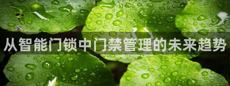 利记官网入口最新版：从智能门锁中门禁管理的未来趋势