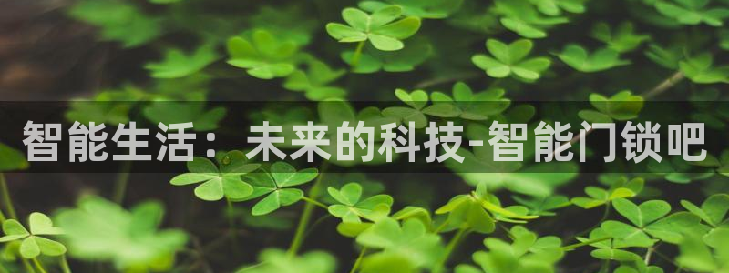 利记官网平台：智能生活：未来的科技-智能门锁吧