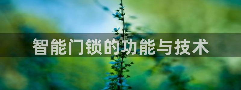 利记官网入口最新版：智能门锁的功能与技术