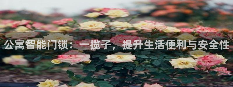 利记彩票导航网址官网hd71