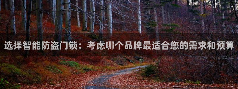 利记游戏开户ysb体育官方官网：选择智能防盗门锁：考虑哪个品