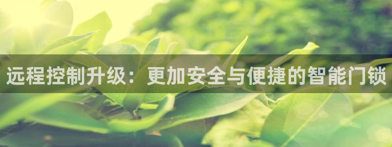 利记官网app下载网址日博官网网址：远程控制升级：更加安全与