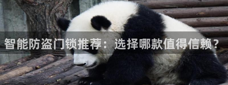 利记平台官网：智能防盗门锁推荐：选择哪款值得信赖？