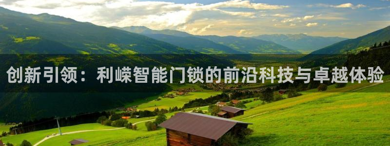 利记官网官方网站：创新引领：利嵘智能门锁的前沿科技与卓越体验