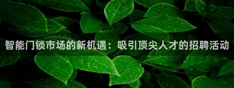 利记手机官网bb电子平台官方：智能门锁市场的新机遇：吸引顶尖