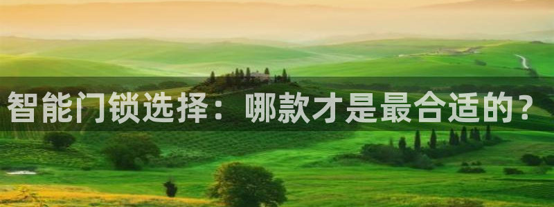 利记官网入口最新版：智能门锁选择：哪款才是最合适的？