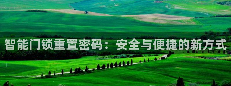利记娱乐网官网：智能门锁重置密码：安全与便捷的新方式