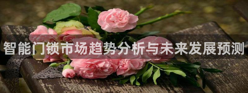 利记官网：智能门锁市场趋势分析与未来发展预测