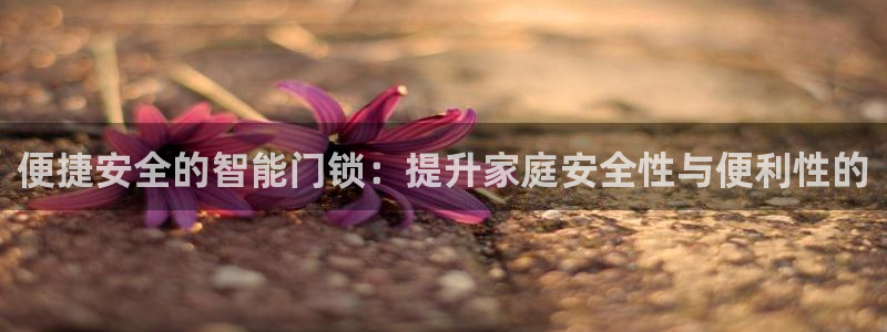 利记厨具官网售后：便捷安全的智能门锁：提升家庭安全性与便利性