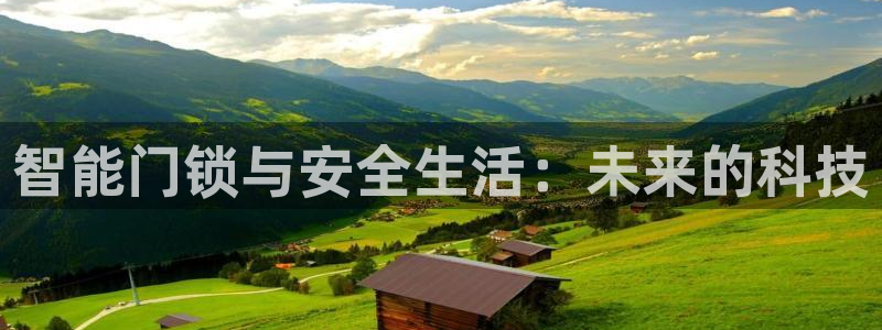 利记体育平台官网：智能门锁与安全生活：未来的科技