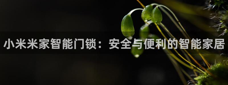 利记app官网真人游戏：小米米家智能门锁：安全与便利的智能家