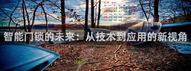 利记手机官网bb电子平台官方：智能门锁的未来：从技术到应用的